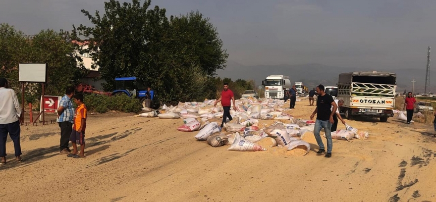 Gaziantep'te 5 ton yem, tır dorsesinden yola saçıldı