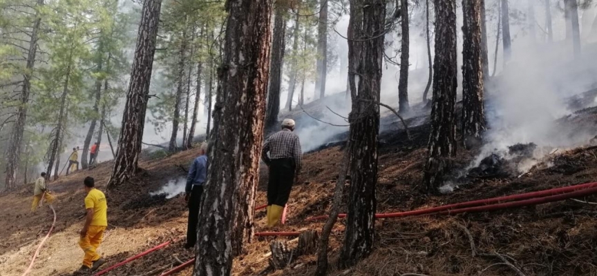 Kahramanmaraş'ta çıkan orman yangını kontrol altına alındı