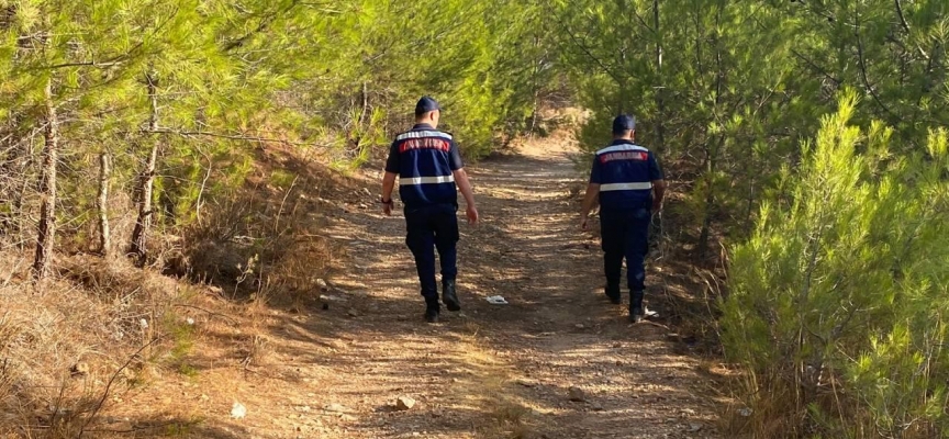 Jandarma orman yangınlarına karşı devriye görevi yapıyor