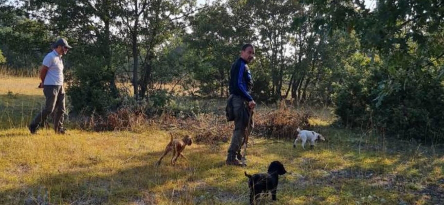 Eğitimli köpeklerle trüf mantarı arandı