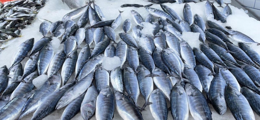 Karadeniz'de balıkçılar umduğunu bulamadı