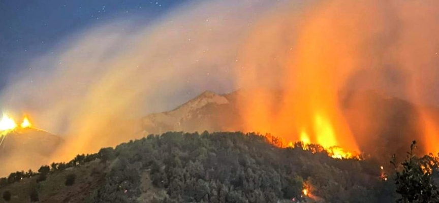 Tunceli’de çıkan orman yangınına müdahale ediliyor