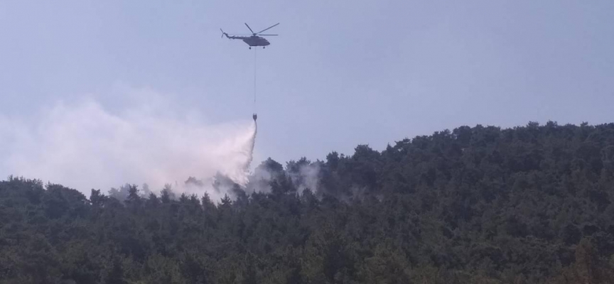 Antalya'da ormanlık alanda çıkan yangın söndürüldü