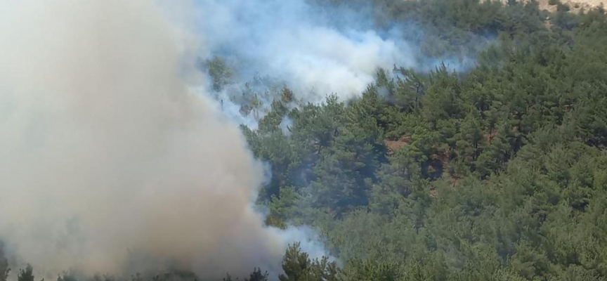 Manisa'da orman yangını: Müdahale ediliyor