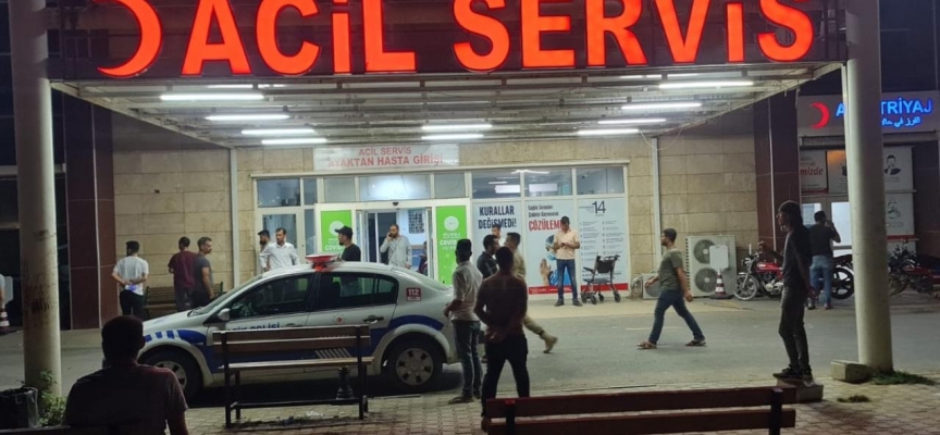 Şanlıurfa'da su birikintisine düşen 2 çocuk boğuldu