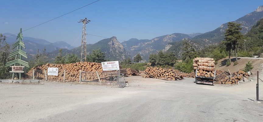 Adana'da üzerine tomruk devrilen işçi hayatını kaybetti