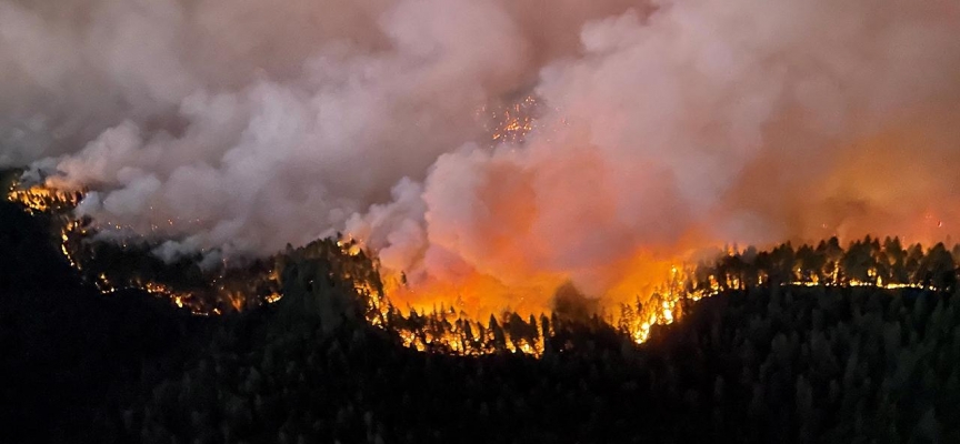 California'daki orman yangınında 11 binden fazla kişi tahliye edildi