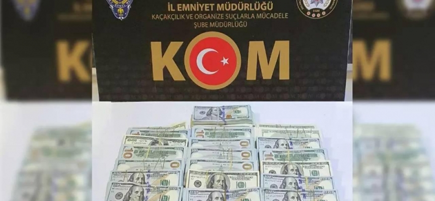 Dolar gasbettiği öne sürülen şüpheli Erzincan'da yakalandı