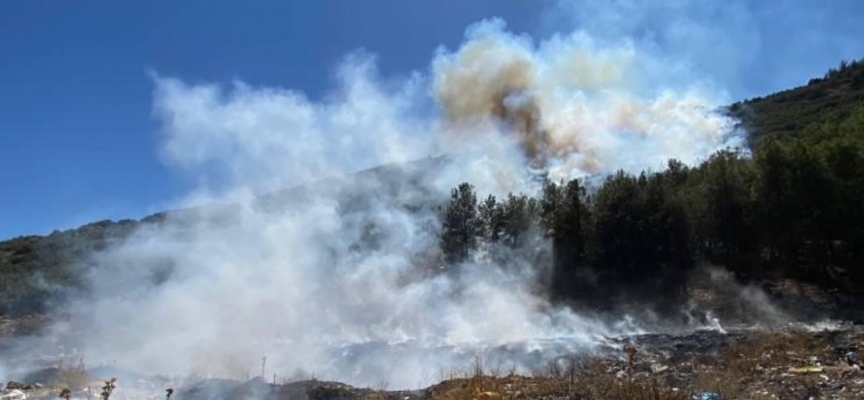 Burdur'da çıkan orman yangını kontrol altına alındı