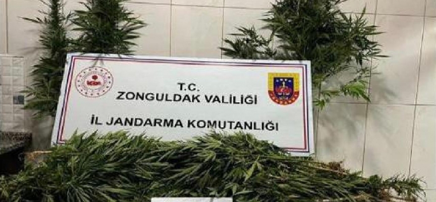 Zonguldak'ta uyuşturucu operasyonu: 3 gözaltı