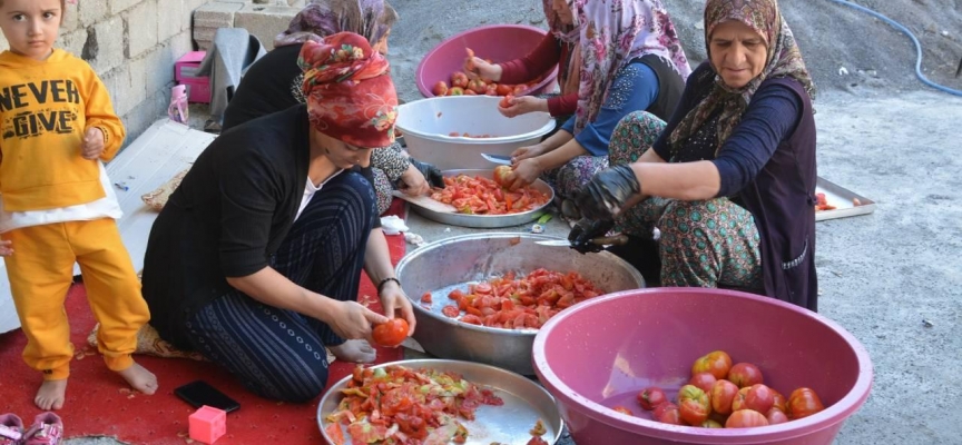 Hakkarili kadınlar salça üretimine başladı