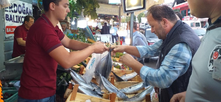 Zonguldak'ta palamut bolluğu: Fiyatlar düştü