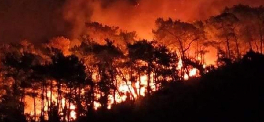 Muğla'da orman yangını