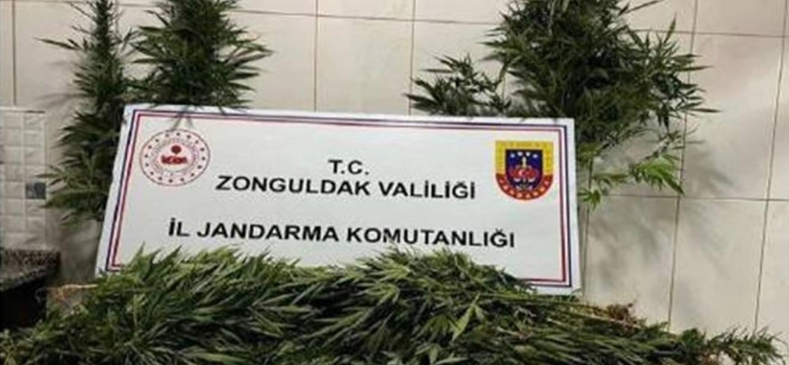 Zonguldak'ta uyuşturucu operasyonu