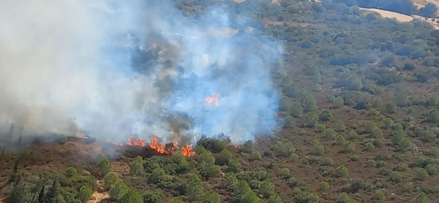 İzmir'de yangın: Havadan ve karadan müdahale ediliyor