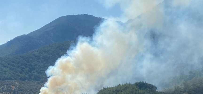 İzmir'de orman yangını: Havadan ve karadan müdahale ediliyor