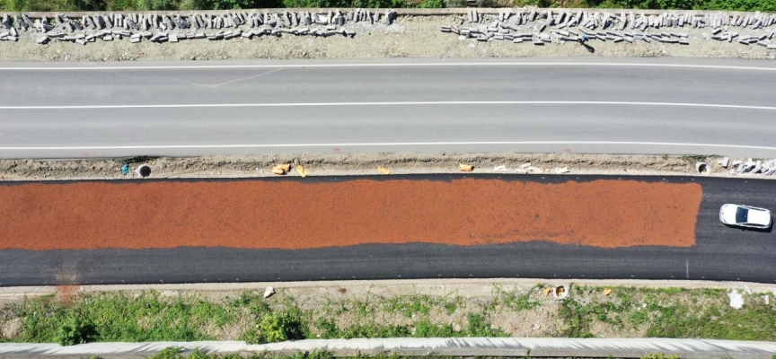 Yeni yapılan yol fındık harmanı oldu