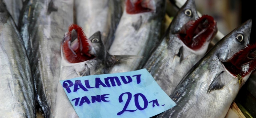 Balık tezgahları palamutla şenlendi