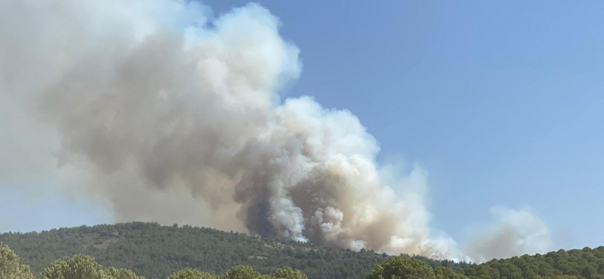 Balıkesir'de çıkan orman yangınına müdahale ediliyor