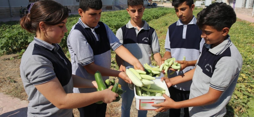 Hatay'da öğrencilerin okul bahçesinde yetiştirdiği sebzeler mahallelinin sofrasında