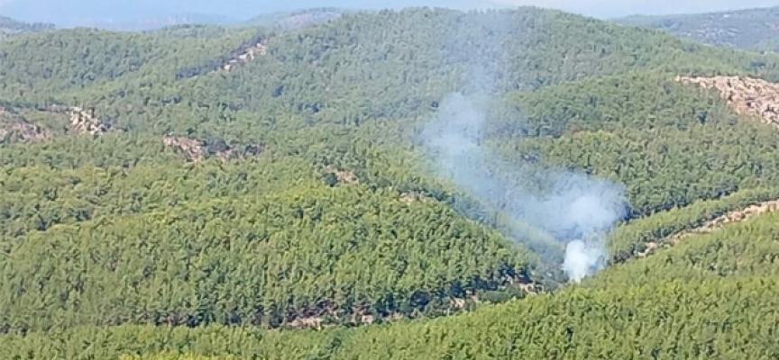 Alanya'da orman yangını