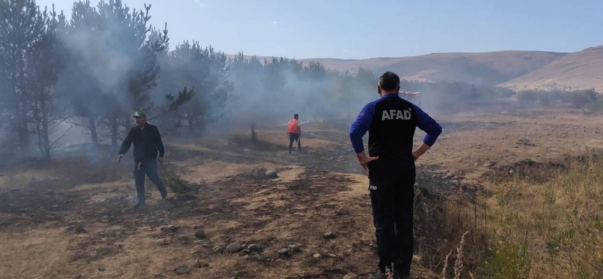 Ardahan'da ormanlık alanda çıkan yangın söndürüldü