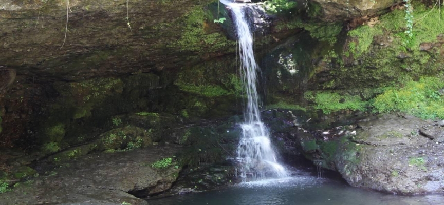 Artvin'de "ormanın yüzüğü" ismi verilen şelale turizme kazandırılacak