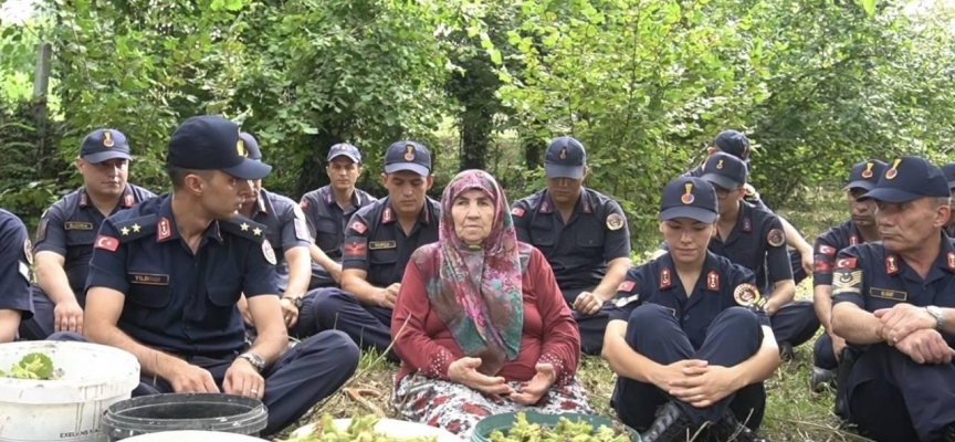 Fındık toplayan şehit annesine jandarma yardım etti