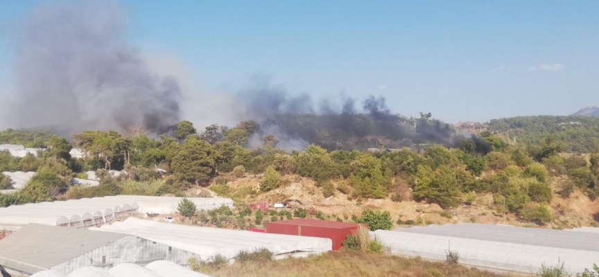 Antalya'nın Kumluca ilçesinde orman yangını çıktı