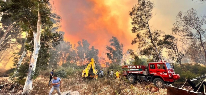 Antalya'daki orman yangını: 15 hektar alan zarar gördü