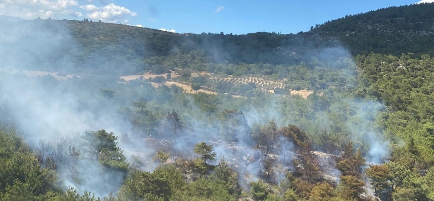 İzmir'de orman yangını: Müdahale başladı