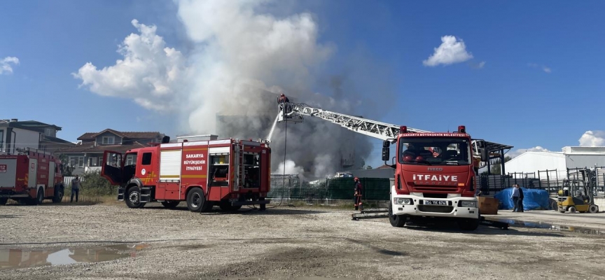 Sakarya'da bahçede çıkan yangın evde hasara neden oldu