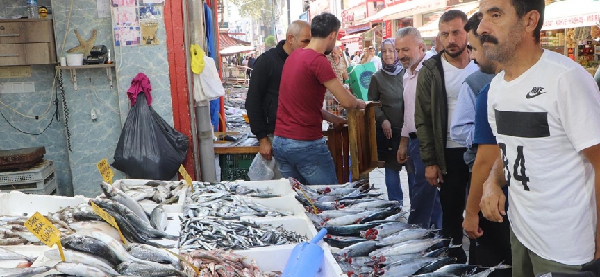 Karadeniz'de palamut bereketi sürüyor