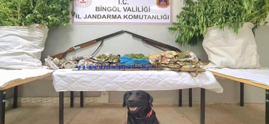 Bingöl'de 6 kilogram esrar ele geçirildi