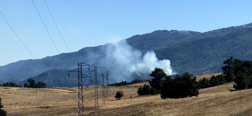 Kütahya'da orman yangını