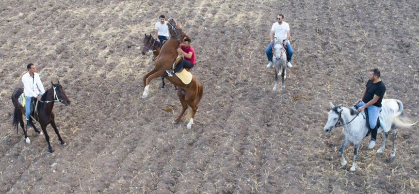 Ata sporunu yaşatmak için at çiftliği açtı