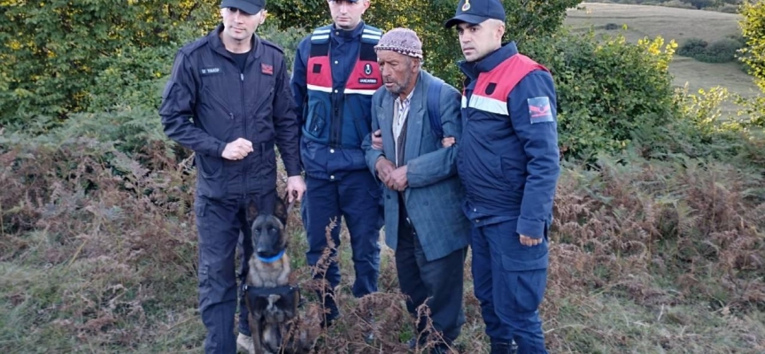 Tokat'ta kaybolan yaşlı adamı 'Talan' buldu