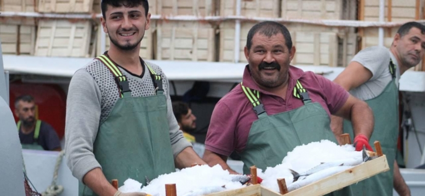 Düzceli balıkçılar bol palamutla döndü