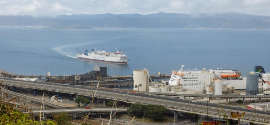 Yeni Zelanda deniz yoluyla canlı hayvan ihracatını yasaklıyor