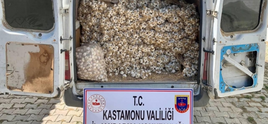 1,5 ton sarımsak çalan 3 hırsız tutuklandı