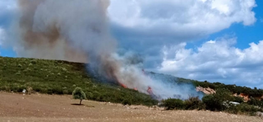 Çanakkale'de orman yangını