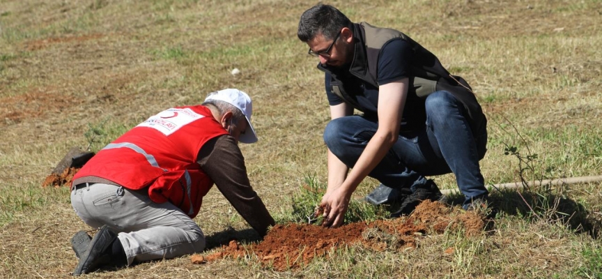 Düzce'de huzurevi sakinleri fidan dikti