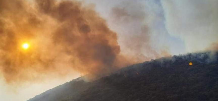 Kaş'ta makilik alandan yangın: Müdahale ediliyor