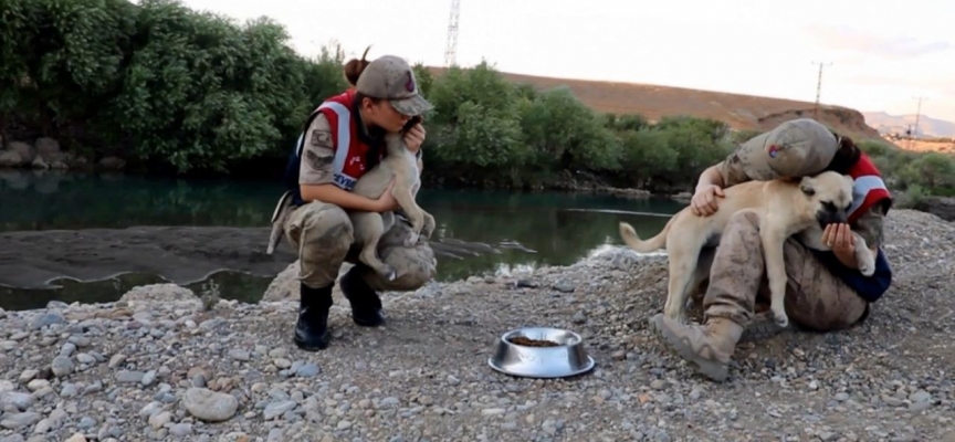 Siirt’te jandarma kaçak avcılara göz açtırmıyor