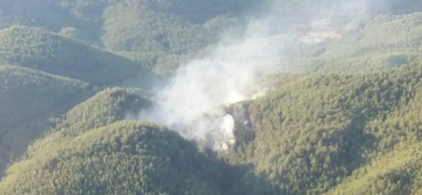 Muğla'da orman yangını: Havadan ve karadan müdahale ediliyor