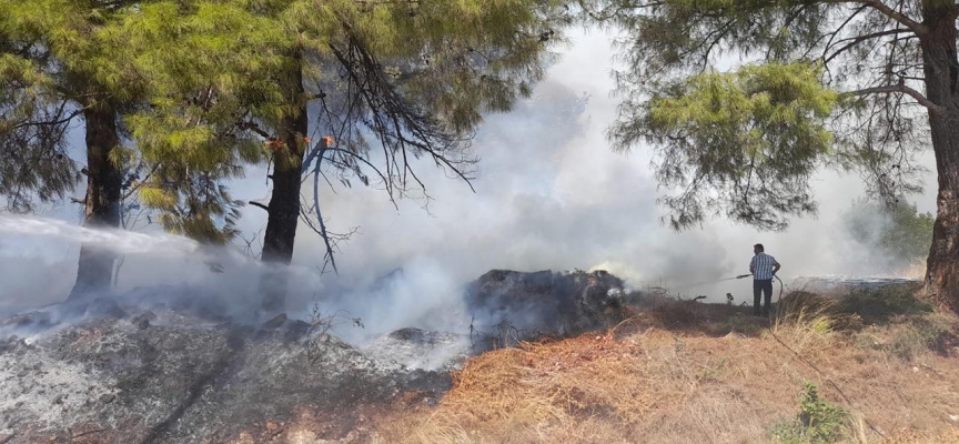 Antalya'da orman yangını