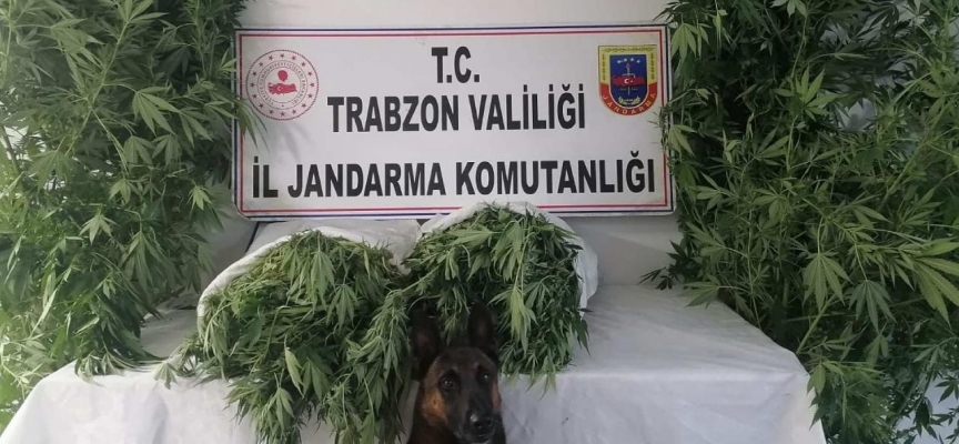 Trabzon'da 20 kilo uyuşturucu ele geçirildi