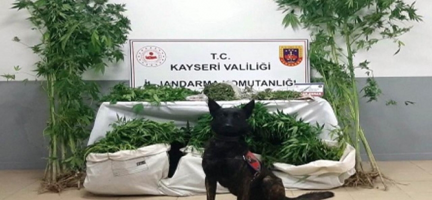 Kayseri'de uyuşturucu operasyonu