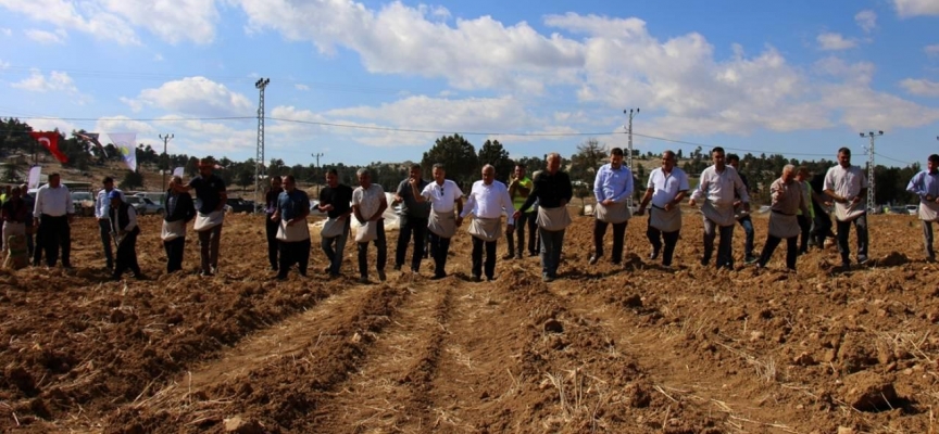 Mersin'de çiftçilere 50 ton ata buğdayı tohumu dağıtımına başlandı