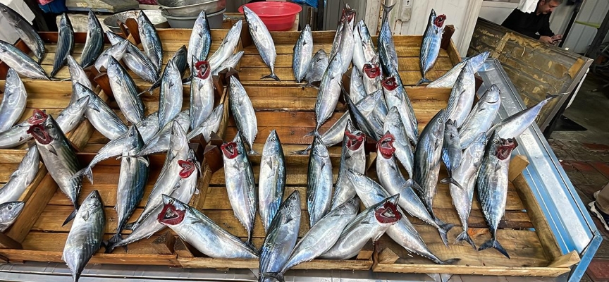 Soğuk hava balık fiyatlarını artırdı